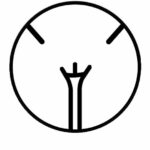 Vラインのデザイン　ハイジニーナ　イラスト図解